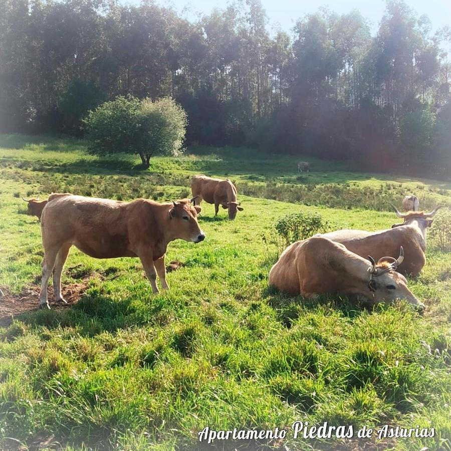 Appartamento Piedras De Asturias Piedras Blancas Esterno foto